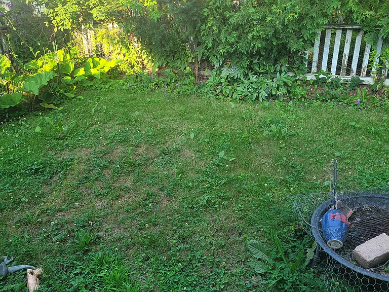 135 S Elmwood Ave — Photo 32