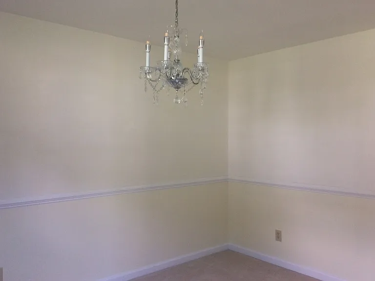 3913 Vass Ln — Photo 27