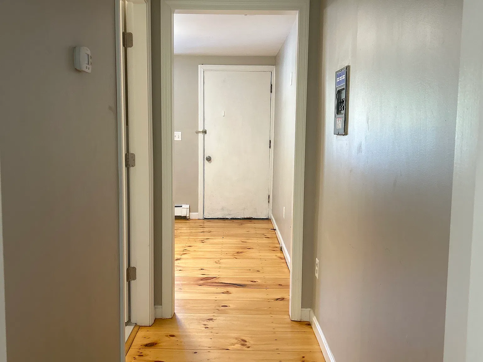 1 bed, 260 sqft, $1,305 — Photo 2