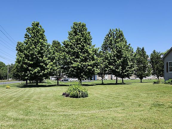 Side yard