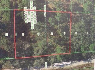 10411 Evergreen St, New Port Richey, FL 34654