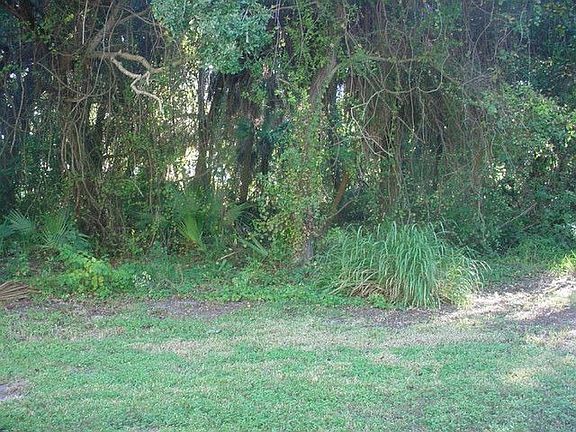 Lanai overlooks wooded prerserve