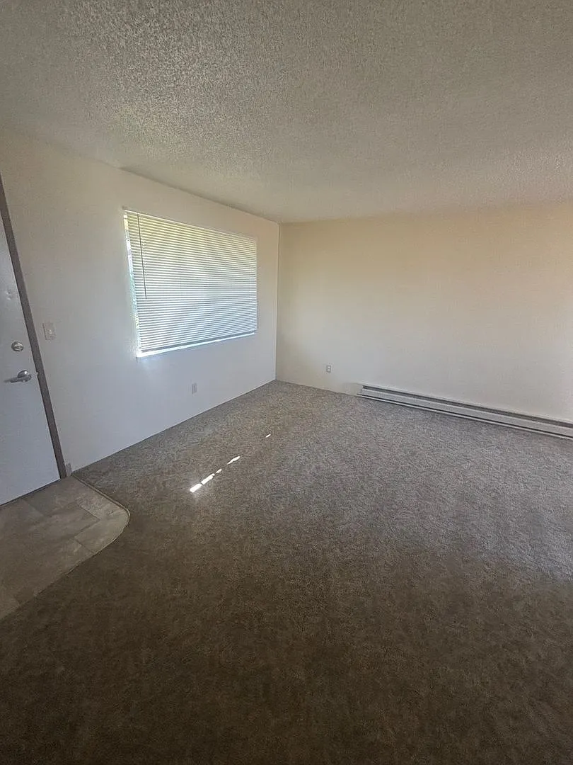 1 Bedroom 1 Bathroom at Hollywood Park Apartments — Photo 4