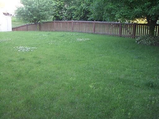 4th image of 2020 Aspen Dr