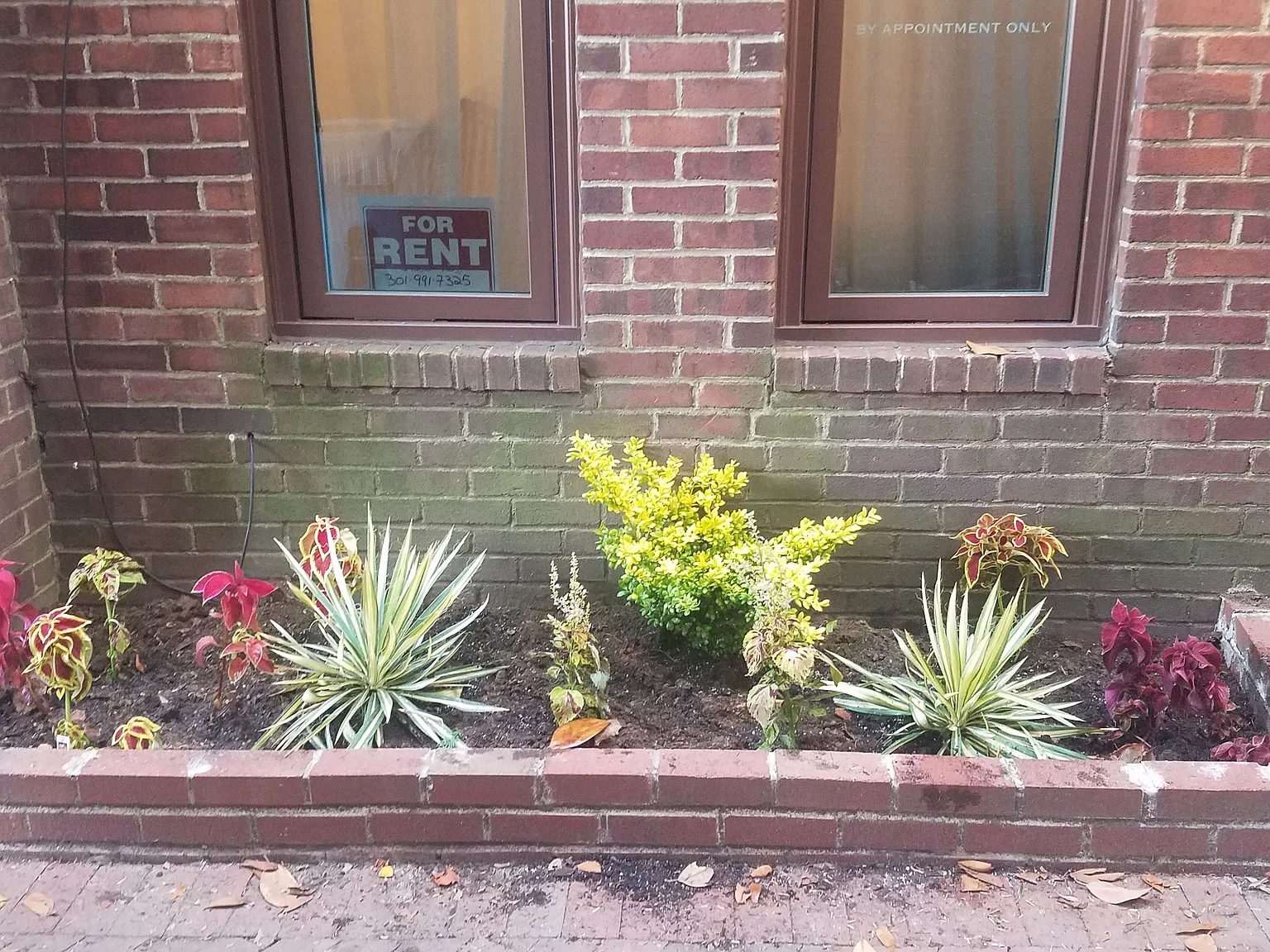 1 bed, 300 sqft, $1,800 — Photo 2