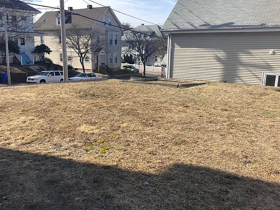 Backyard 1