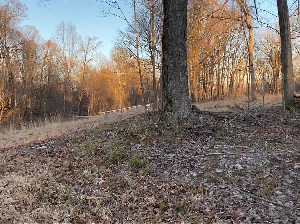 2nd image of 2233 Central Curve Rd