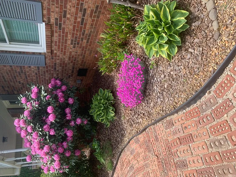 110 Holly Dr — Photo 4