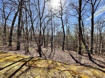 129 N Harris Creek Dr, Ellijay, GA, 30540