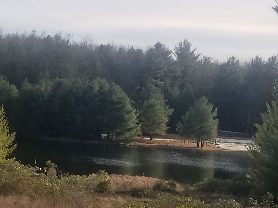 views from the deck