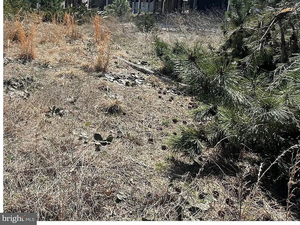 2nd image of Pintail Ln