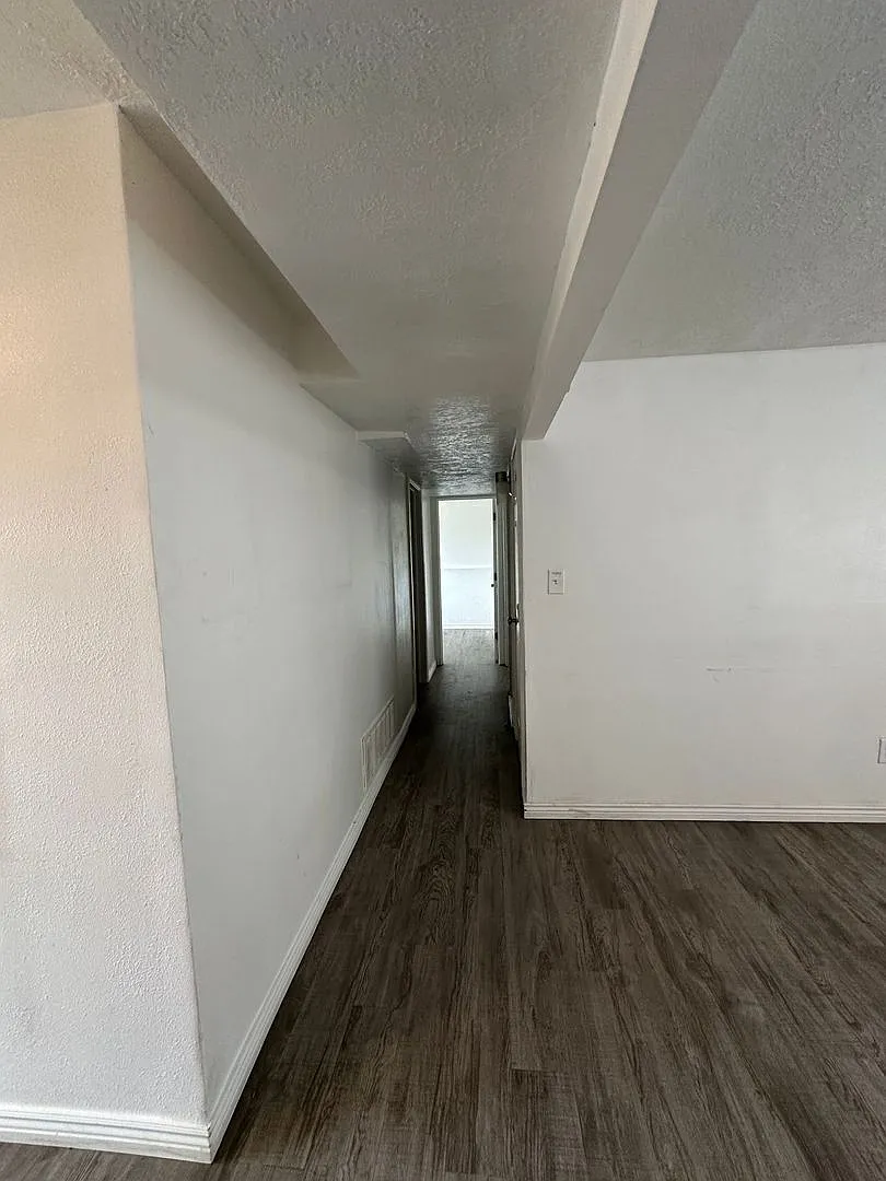 Charming Downstairs apartment — Photo 3