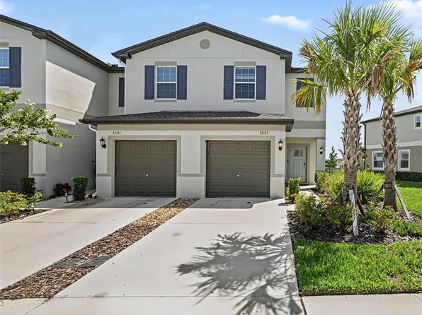 32137 Powderpuff Mimosa Dr, San Antonio, FL 33576