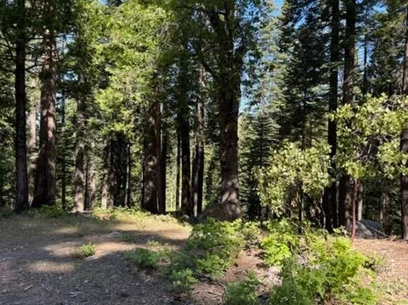 1619 Shoshone Dr, Camp Connell, CA 95223