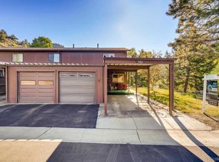 160 Gilson St, Idaho Springs, CO 80452