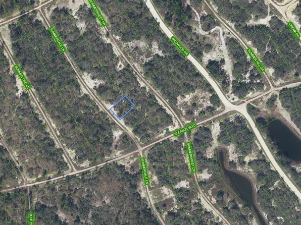 337 Summerdale Ln, Lake Placid, FL 33852