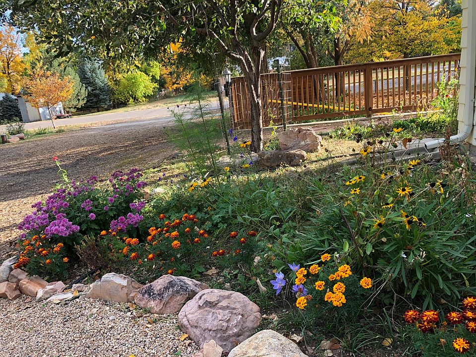Garden next to driveway