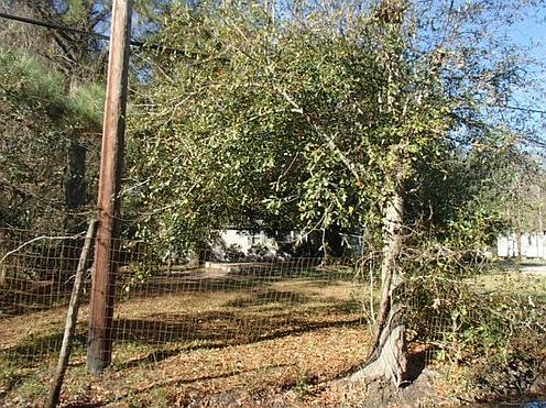 4th image of 44305 Zeno Ln