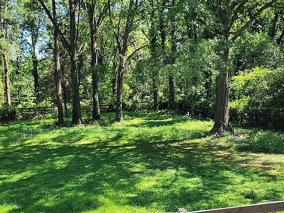 Backyard fenced area for pets