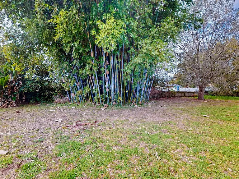 2501 Weber St #ID1546428P — Photo 7