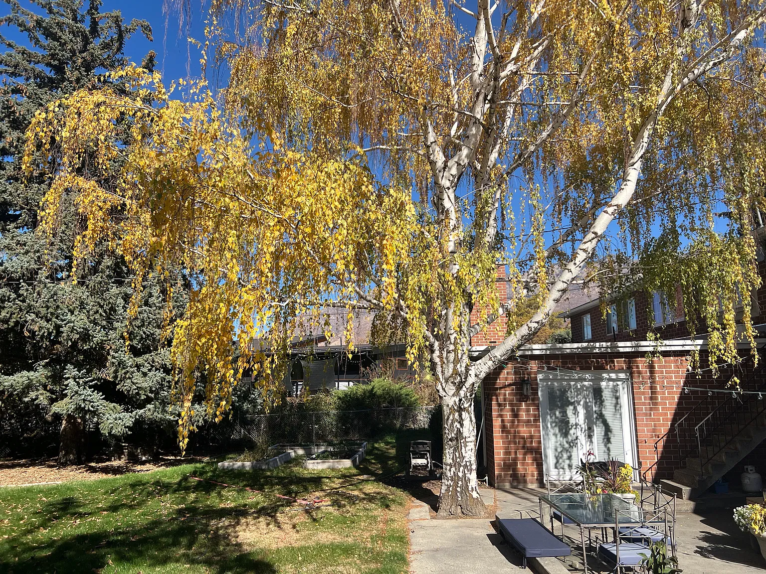 2 bed, 1100 sqft, $2,400 — Photo 4