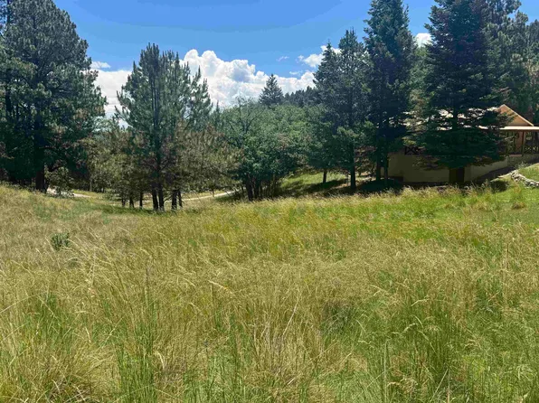 Maverick, Cloudcroft, NM 88317