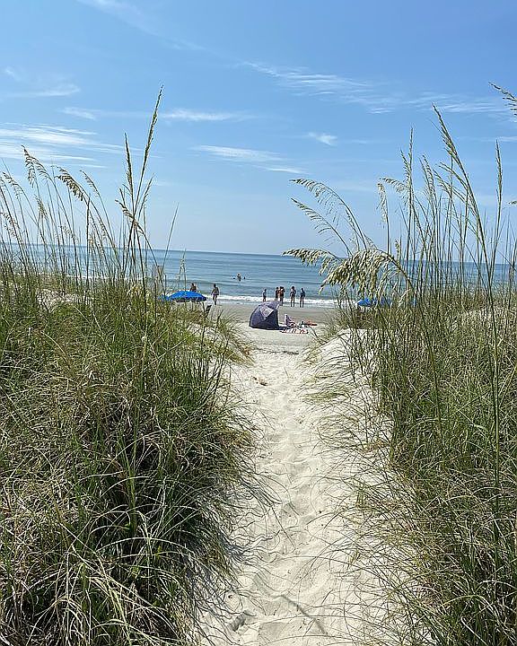 83 Dune Ln, Hilton Head Island, SC 29928 Zillow