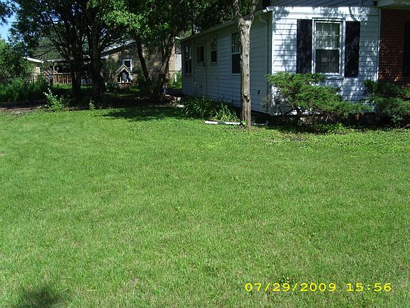 Back yard