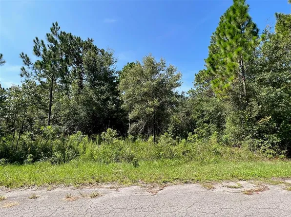Guava Terrace Radl Lot 19, Ocklawaha, FL 32179