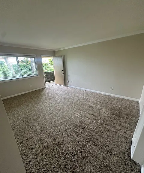 4664 Hamilton St #4664.5 — Photo 3