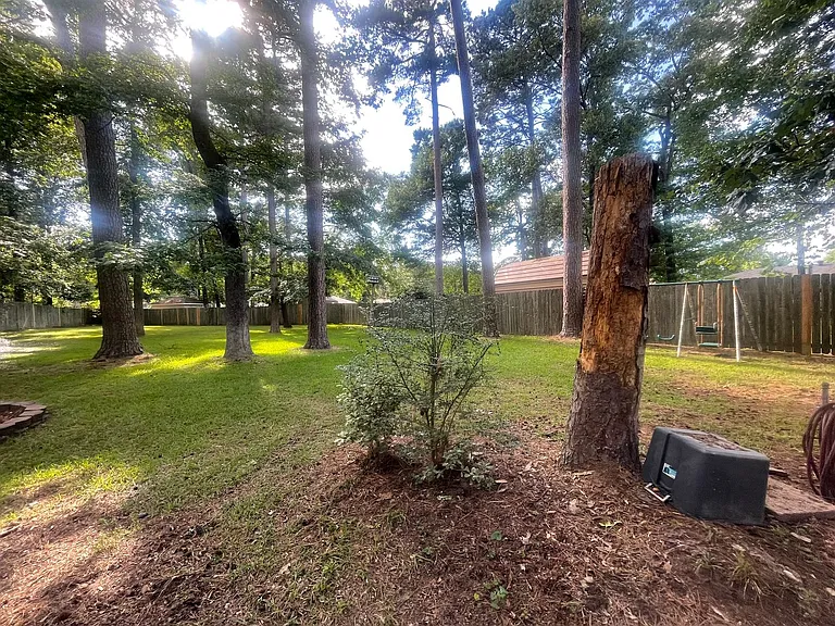 3506 Blue Willow Cir — Photo 15