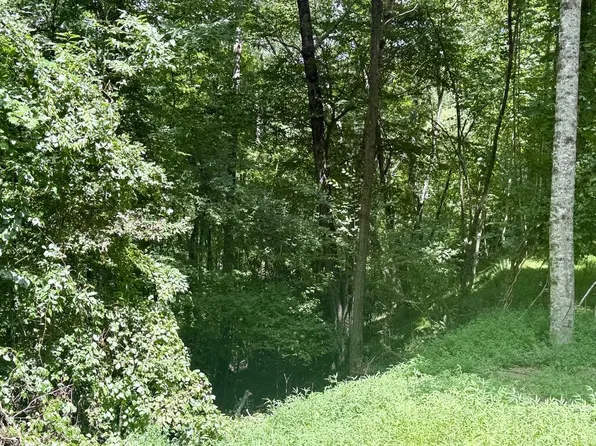 6 Wild Laurel, Brasstown, NC 28902