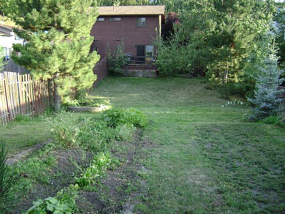 Fully fenced, large backyard.