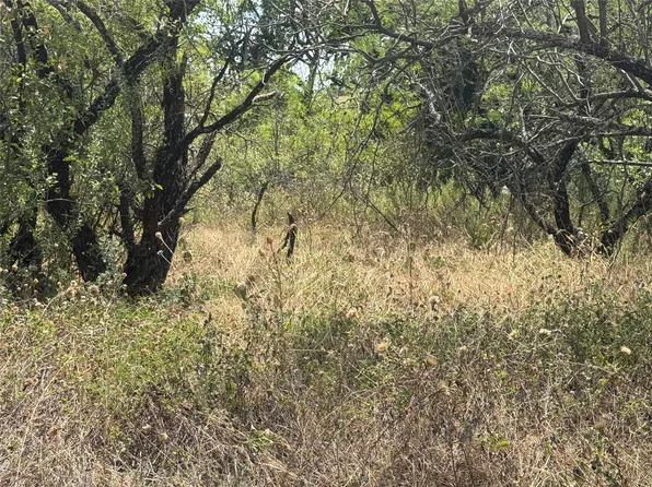 Waterford Dr, Brownwood, TX 76801