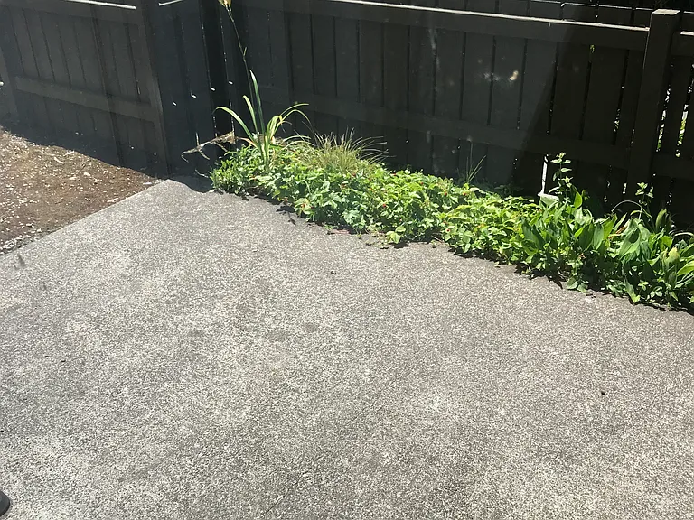 Outside patio area