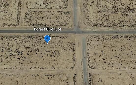 2nd image of Forest Blvd