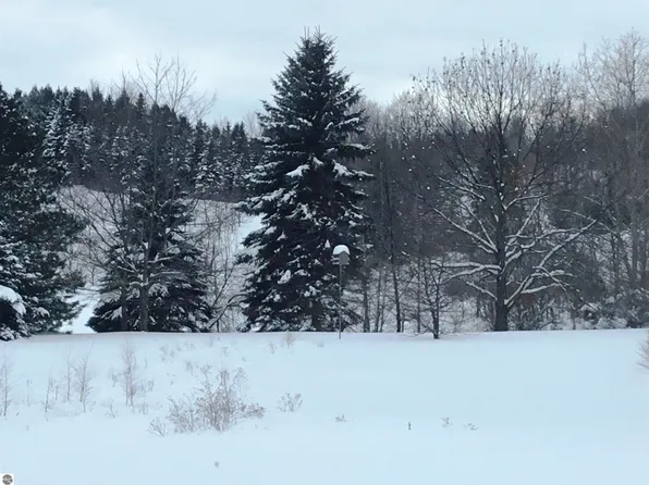 0 S Pineview Rd, Suttons Bay, MI 49682