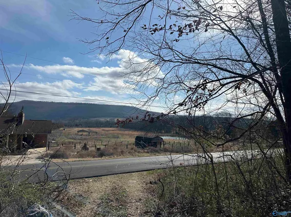 Hurricane Rd, New Market, AL 35761