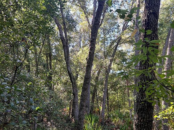 3rd image of BUTTERNUT DRIVE LOT 2