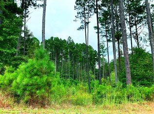 251 Hidden Springs Dr, Rutledge, GA 30663