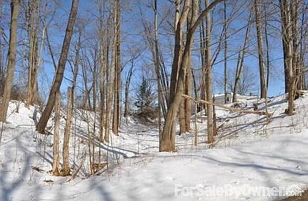 Wooded Ravine
						:
						Scenic Ravine located on the west side of the property