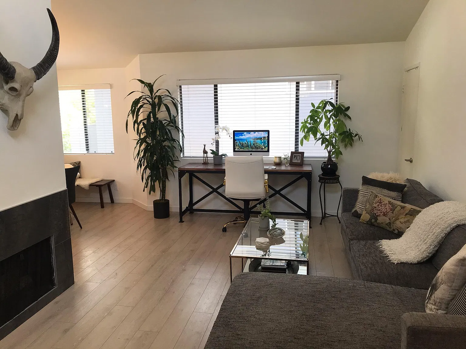 1 bed, 750 sqft, $2,895 — Photo 3
