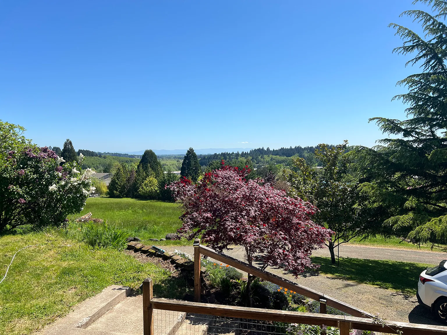 Bullevard, Philomath — Photo 4
