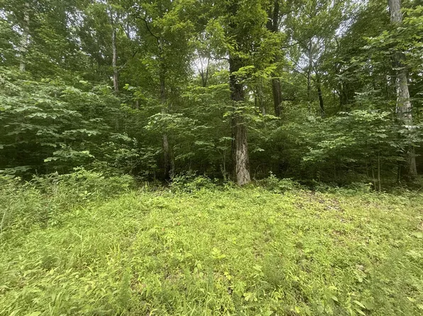 0 Caney Branch Rd Lot 13, Stewart, TN 37175