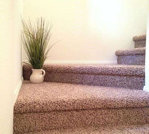 new carpet throughtout