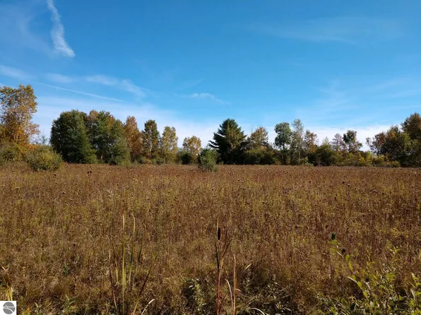 PARCEL Putnam Rd #C, Hale, MI 48739