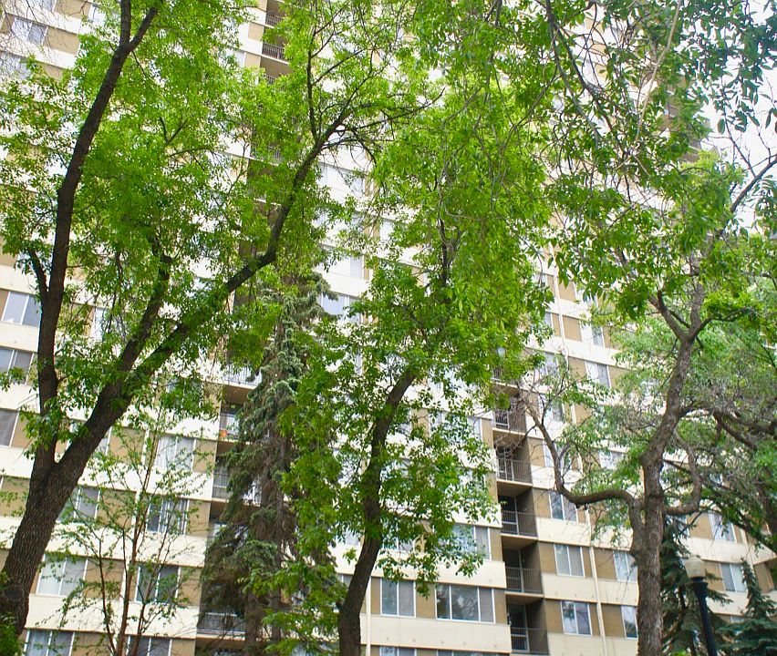 209 - 16_06092019