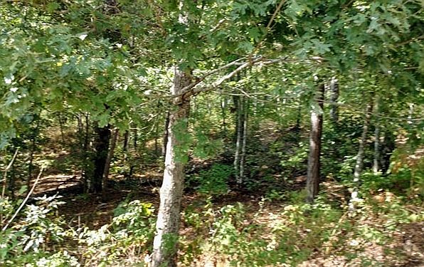 1st image of Harris Creek Dr