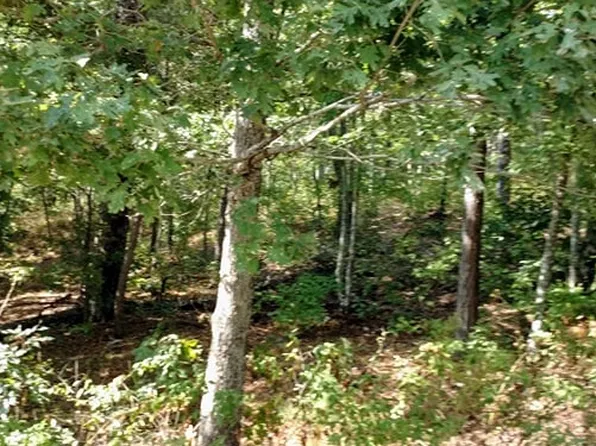 Harris Creek Dr, Ellijay, GA 30540