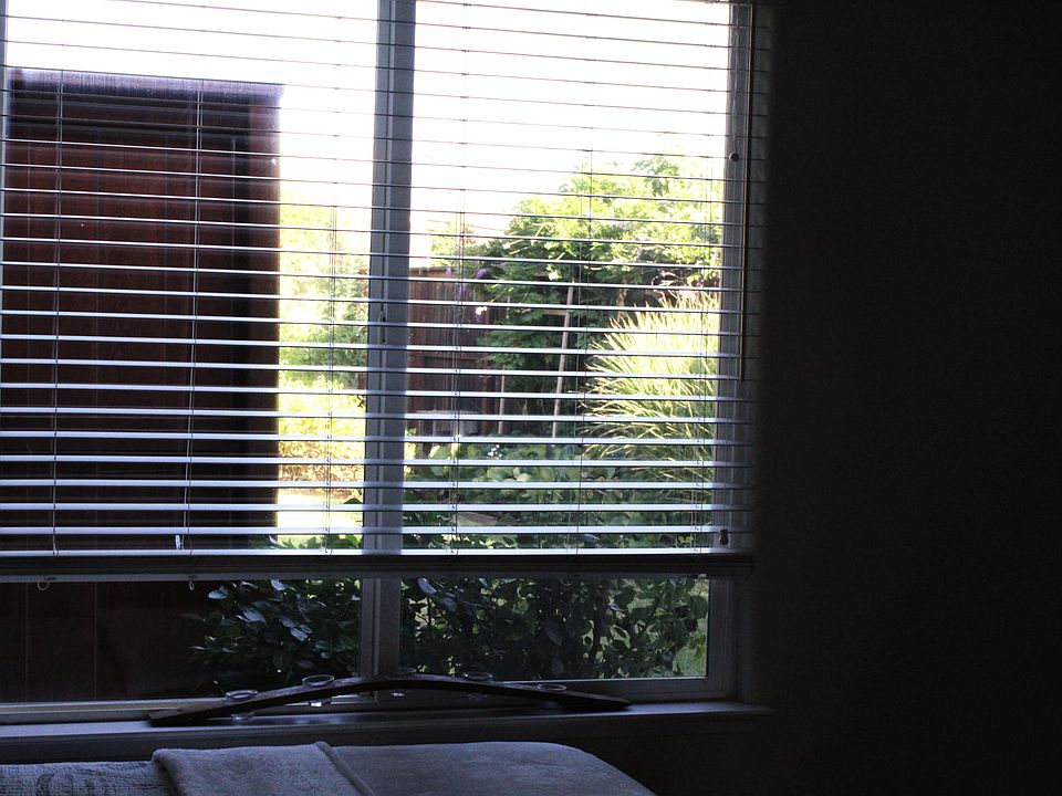 View from studio